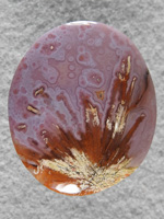 Coyamito Agate 197  :    When I got these slabs of high color Coyamito with Sagenite needles I knew the outcome.  What amazing cabs!