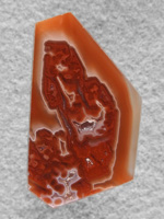 Coyamito Agate 208  :  A cab of exceptional Psuedomorph Agate from Coyamito in Cherry Reds. The cab follows the Crystal forms nicely, perfect for a pendant