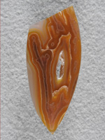 Coyamito Agate 216  :  Another of the Tube Agate slice I bought for a couple bucks.  I always watch for bargains.