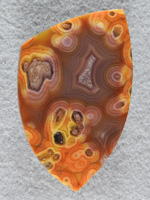 Coyamito Agate 1877  :  WOW what color.  This cab is amazing!  Cross sectioned Aragonite pseudomorphs and tubes.