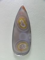 traded Coyamito Agate 259T  :  Another excellent example of this Gold and Clear Tube Agate from Coyamito.  A glassy finish and several great tubes.