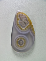 traded Coyamito Agate 261T  :  Another excellent example of this Gold and Clear Tube Agate from Coyamito.  A glassy finish and several great tubes.