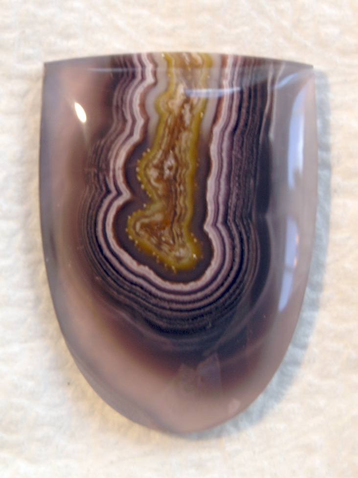 traded Coyamito Agate 281T  :  A fractured slab, I had to rescue this cross section tube flaoting in the clear.