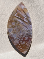 Traded Coyamito Agate 1292T  :  description