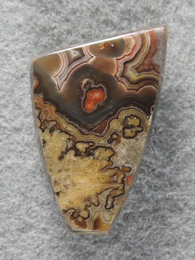 Crazy Lace Agate 1653 : Nice dark Lace cab