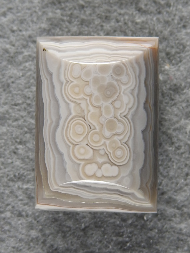 Crazy Lace Agate 1656 : Small rectangle of Lace cut parallel so we see the dots on top of the bands.