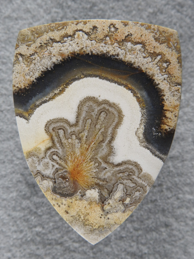 Crazy Lace Agate 1969 : Wow whata showy cab!  I saw this in the slab and couldn't wait to set it free. Absolutely stunning.