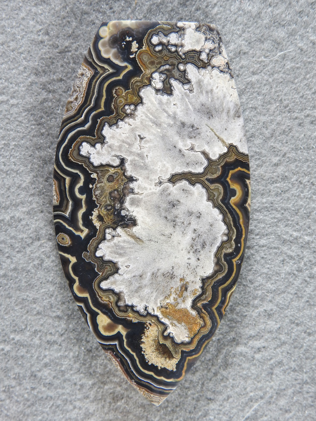Crazy Lace Agate 2085 : A large cab of Black Lace with a great spray of needles centered, Very Nice.