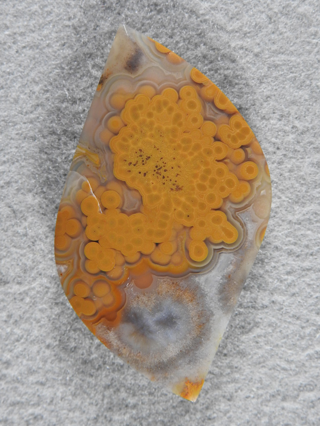 Crazy Lace Agate 696  :  A pretty cut of Clear with a multitude of Yellow orbs bubbling up from below.