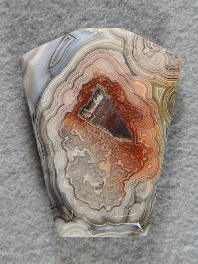 Crazy Lace Agate 697  :  A bola shape in White fortification around an intricate center and Iron staining.