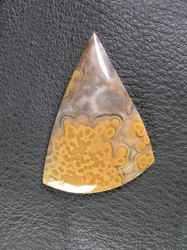 Traded Crazy Lace Agate 700  :