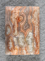 Crazy Lace Agate 688  :  Another large radius barrel cut from the rough that had just rows and rows of bubble patterns.