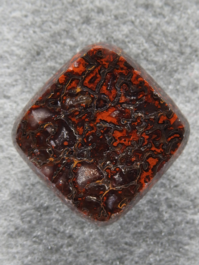 Dinosaur Bone 1510 : A dark Red and Brown soft rectangle Dino Bone cab.