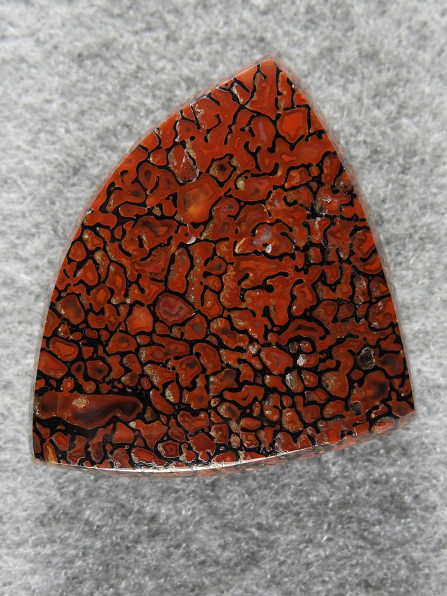 Dinosaur Bone 1512 : Another Gemmy Red Gem Bone triangle