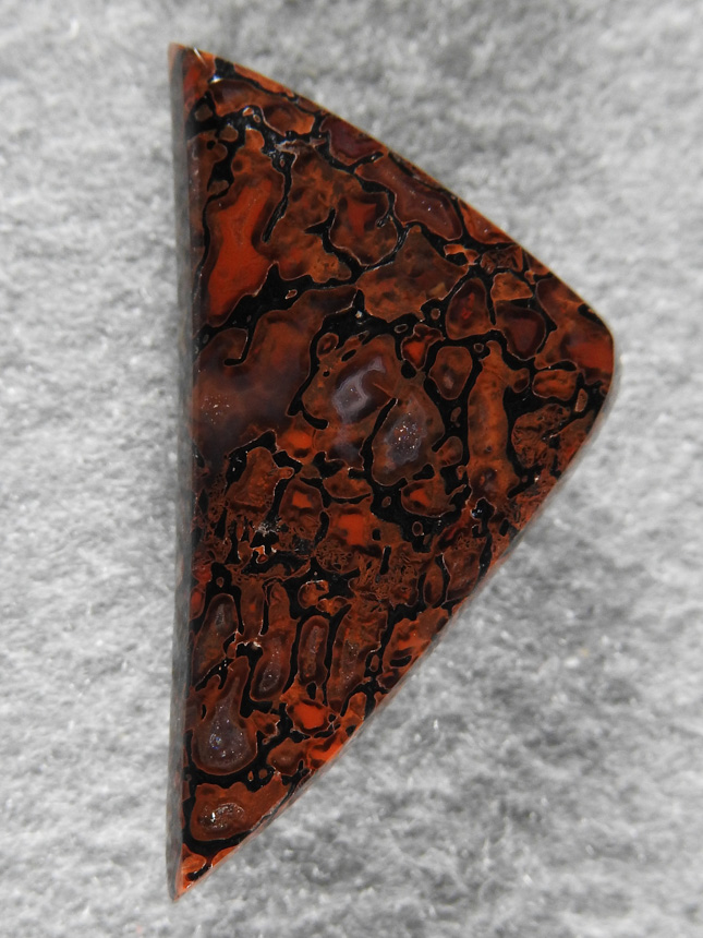 Dinosaur Bone 1518 : Freeform triangle of gemmy Red Dino Bone.