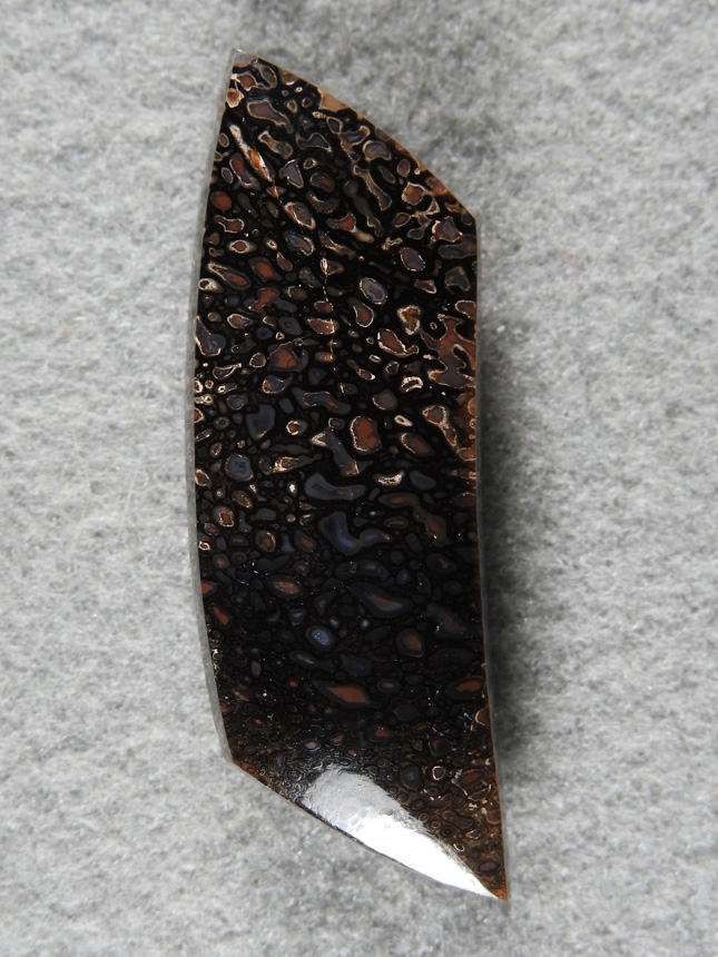 Dino Bone 1898 : I just love the Black and Yellow combo in Dino Bone. A nice sweep cut, glossy and a beutiful polish.
