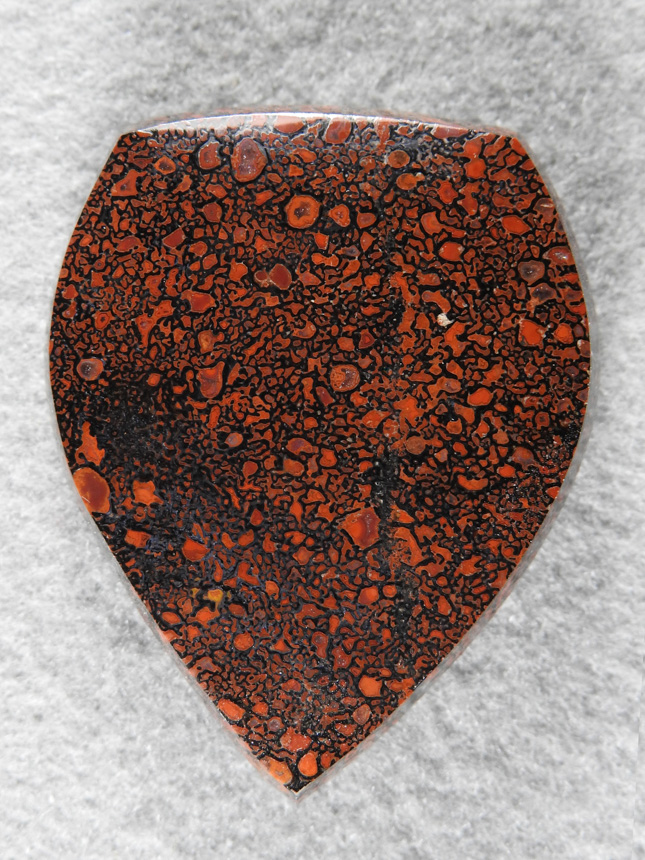 Dino Bone 1899 :  A beautiful broad badge in top quality Dino Bone.  Very bright reds and blacks.