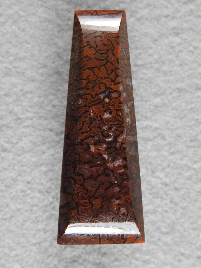 Dino Bone 360 :  A Dark Dino Bone can in the Dark Reds and Blacks, a long pendant drop shape