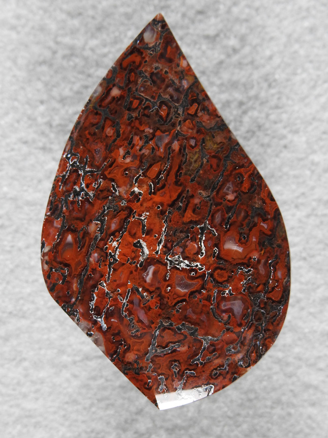 Dino Bone 361  :  Another translucent can with great color.  Left side top to bottom is a bevel to play on the curves.  A very nice cab and unusual cut.