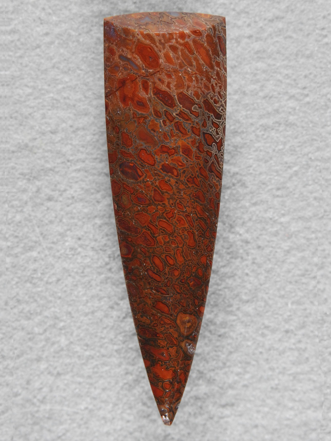 Dino Bone 362  :  Looks like a devil's toenail.  This Dino Bone cab of Red and Brown.