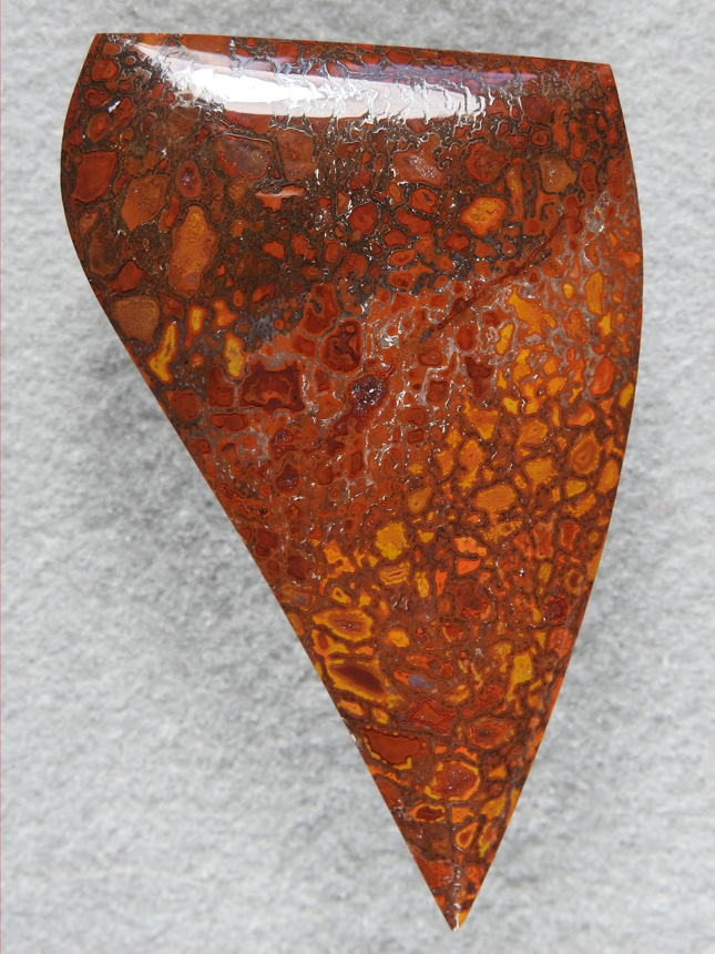 Dino Bone 364  :  Another highly colored Dino Bone cab.  Transitions from Orange to Yellow to Ochre to Red and Brown.  A large cab and a high polish.