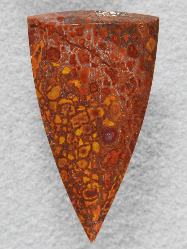 Dino Bone 366  :  A lot of Iron in this cab, Yellows, Oranges, Reds, Browns.  A high poliish to finish it off.