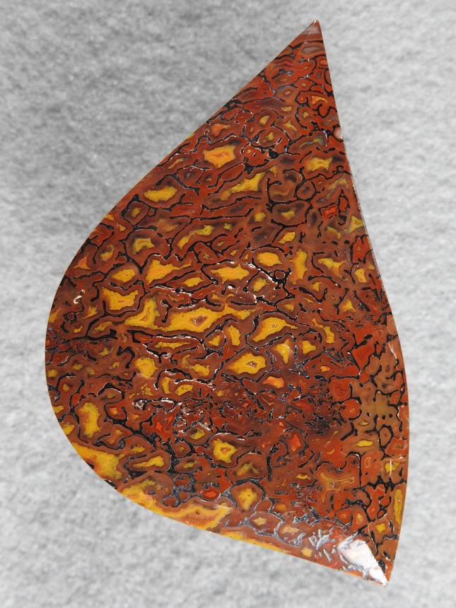 Dino Bone 369  :  We have a winner!  Wow , when Dave handed me this slab of Yellow and Red bone and said cut it part of me wanted to keep it whole and the other said what cabs it will make.