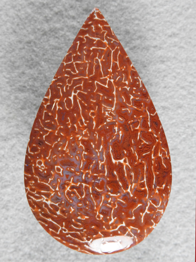 Dino Bone 373  :  A traditional large teardrop.  Red Agate with contrasting white cells.  The more common color but highly agatized and great polish.