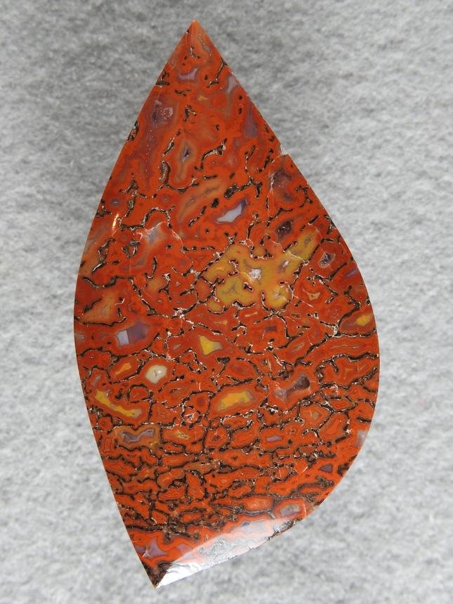 Dino Bone 378  : Red with Yellow, you just have to love the combo.  Very solid bone and great polish.