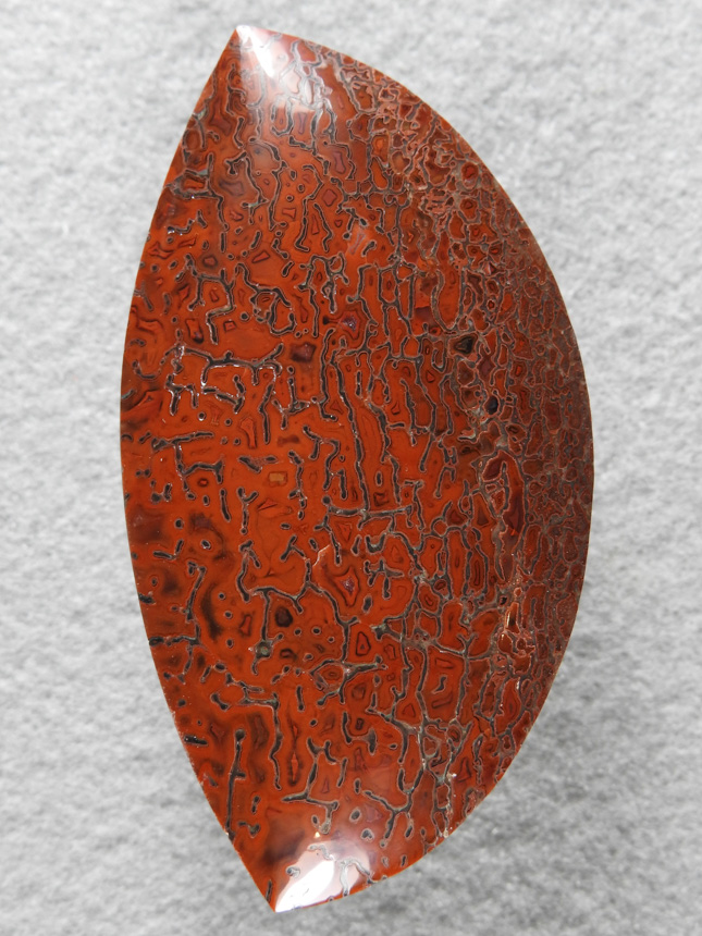 Dino Bone 382  :  This is the more common of colors for gem dino bone but the quality is above average.  A large stone for a Hard wire necklace i think.