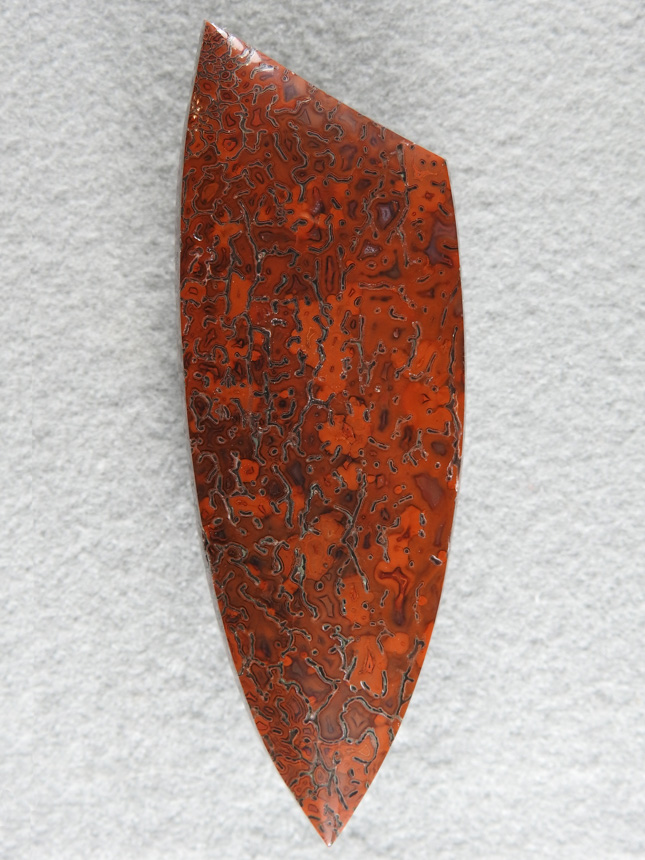 Dino Bone 383  : Reminds me of different colored autumn leaves with the multi shades of red on this cab.  A very pretty, very large cab.