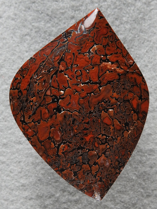 Dino Bone 384  : Great cab of bone in a accentuated radius cut.  High polish finishes this stone off.