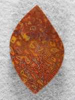 Dinosaur Bone 1513 : A great cab of large cells in Yellows and Oranges.  A definate keeper of a stone.  Great polish and no undercutting.