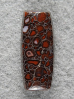 Dinosaur Bone 1516 : A Ring stone of deep Red Large cells.  High polish and no undercutting.  I love cutting this shape for men's rings.
