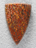 Dinosaur Bone 1517 : Red Orange and Yellows with semi large cells in a badge shape.