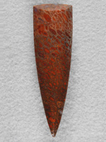 Dino Bone 362  :  Looks like a devil's toenail.  This Dino Bone cab of Red and Brown.