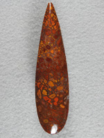 Dino Bone 363  :  A very long large teardrop.  This is high quality bone and I just love the brightness of the Orange cells against the Yellow.