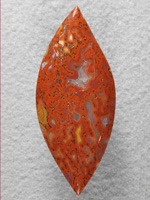 Dino Bone 386  : More from the Red and Yellow slabs I got and another fantastic cab,