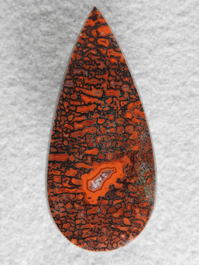 Dino Bone 1901 : What a stone.  Top quality Dino Bone in bright reds and blacks with a rare fortification in the center.