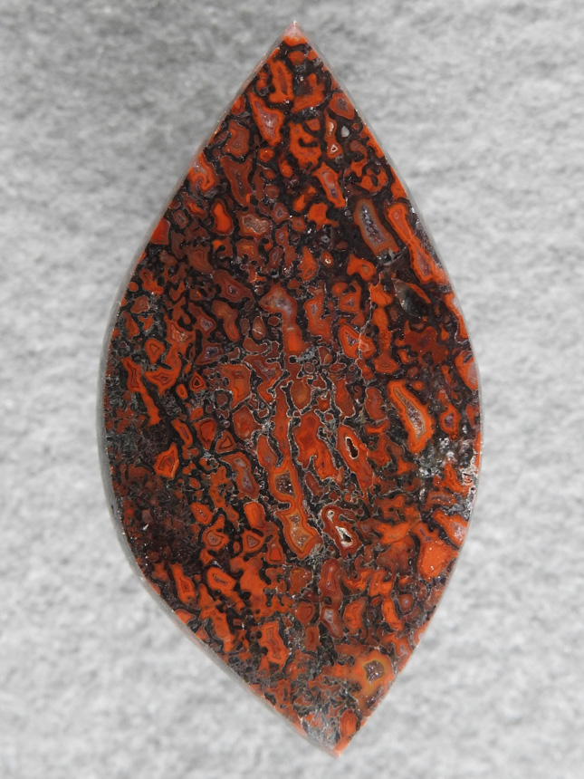 Dino Bone 1902 : Top quality Dino Bone in reds and blacks with a little larger cells.