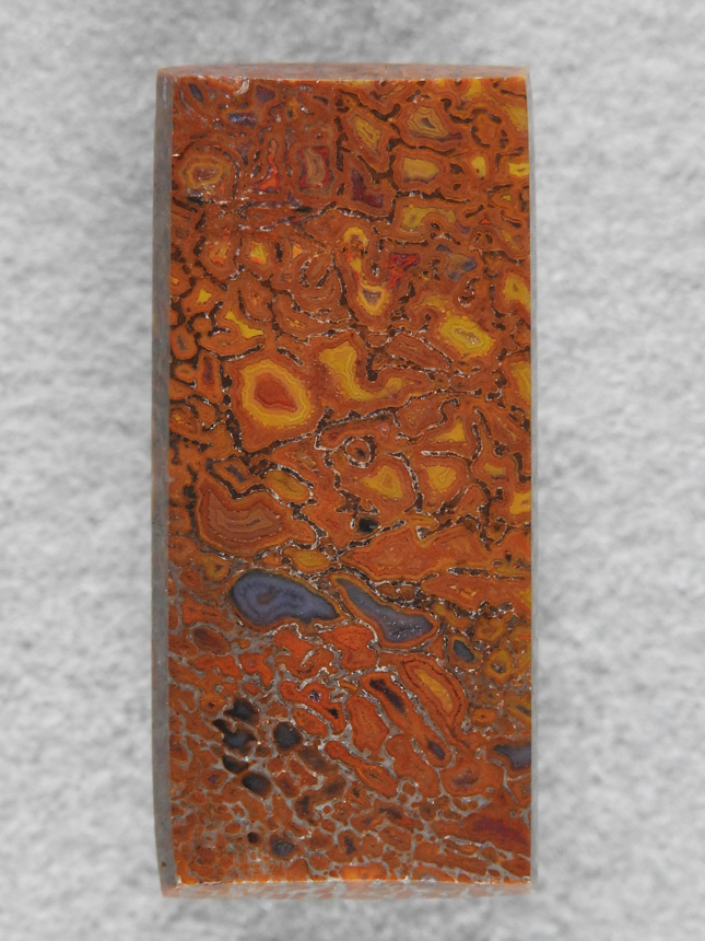 Dino Bone 1904 : A great rectangle of Gem Bone with Yellows, Reds, Orange and even a hint of Black.  A beautiful stone in sought after colors.