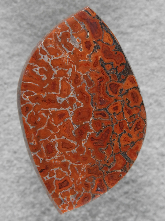 Dino Bone 1905 : Oranges and Reds in the top Dino Bone.