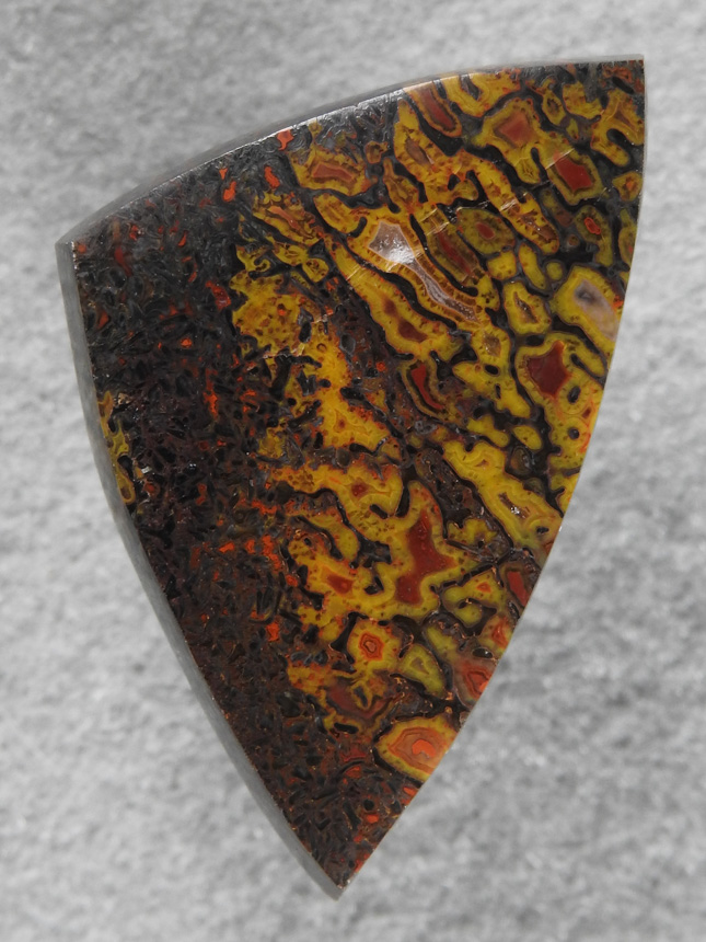 Dino Bone 1908 : WOW what colors.  This is in the top percent of Gem Bone. A nice triangle cut with the best of rare colors.