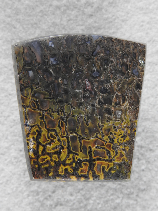 Dino Bone 1909 : An amazing cab, I really enjoyed cutting this one.  Yellow and Black combos are rare and my favorite.  Not sure why I think of cobra when I see this one.