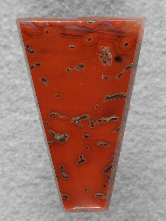 Dino Bone 1911 : A bright Cherry Red Dino Bone.  Such a great agatized Dino Cab.