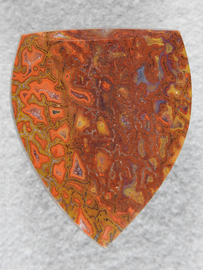 Dino Bone 1913 : Bright Orange Browns and Yellows. Some of the top Gem Bone here.