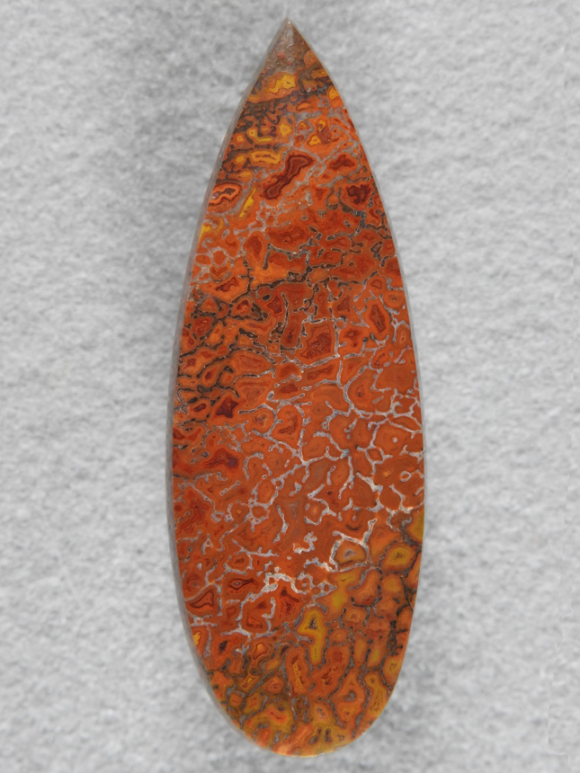 Dino Bone 1917 : More Oranges and Reds in this long tear drop.  A top grade of Dino Bone.
