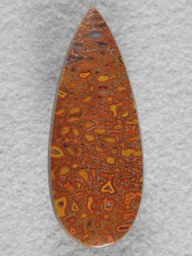 Dino Bone 1921 : Super high end cab with top colors.  Oranges, Reds and Yellows in this sharp stone.