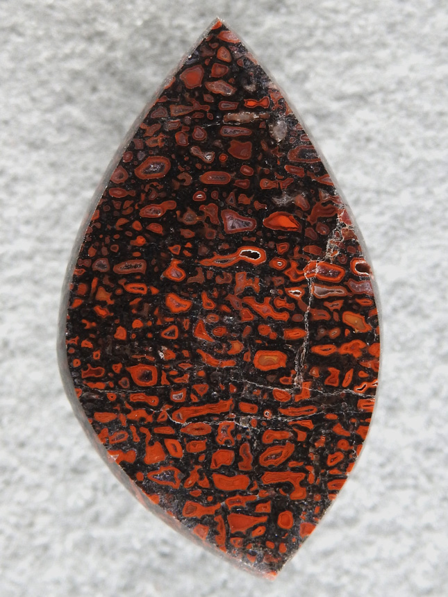 Dino Bone 1924 : Super Bright Reds with Blacks in this awesome stone.