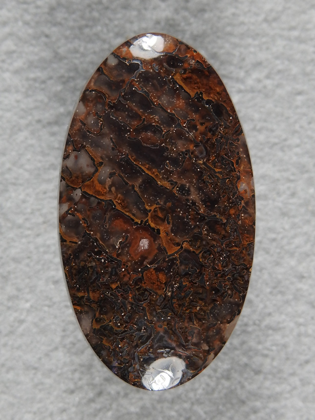 Dino Bone 1925 : Sooo Gemmy.  Light passes right through these cells. Very rare Skeletal Dino Bone.